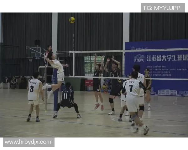 杭州排球队荣获全国排球团队协作排行榜第二名的辉煌成就